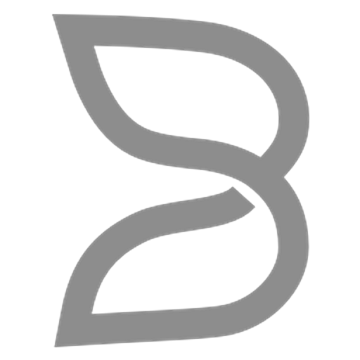 B.AI