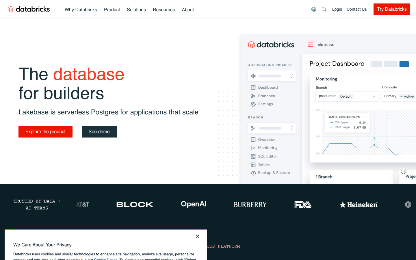 Databricks 产品界面