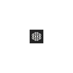 表意文字 4