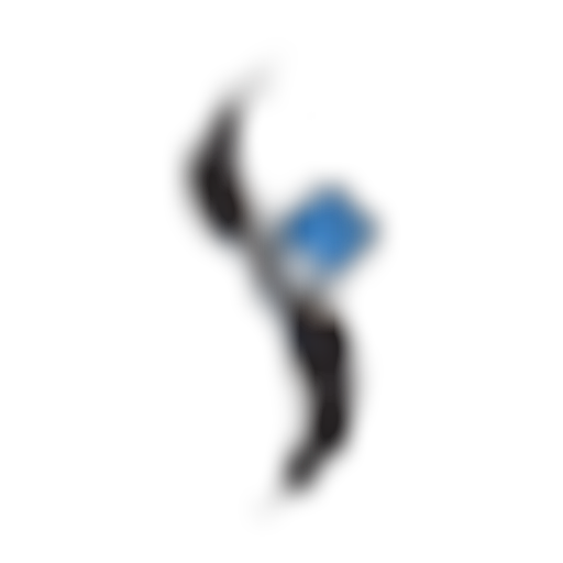 거장