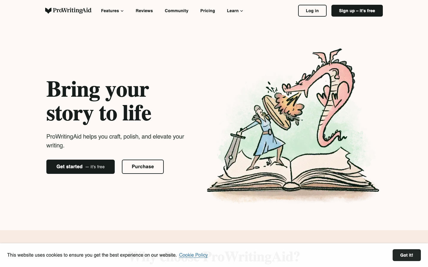 ProWritingAid 产品界面