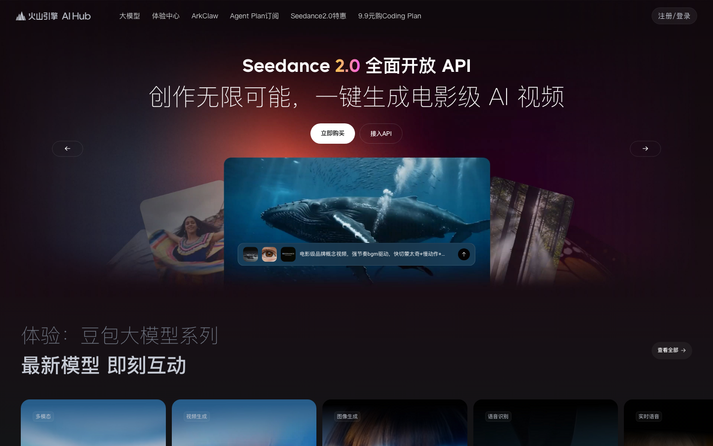 Seedance 产品界面