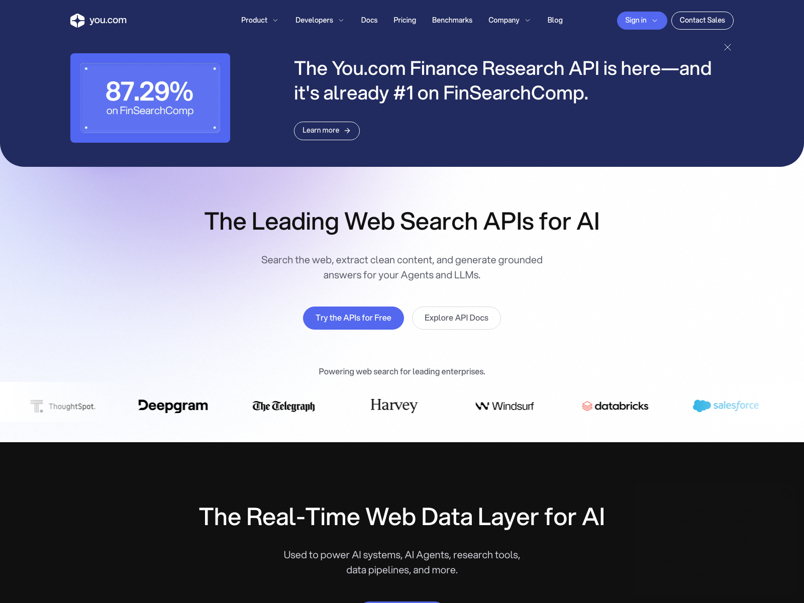 You.com 产品界面